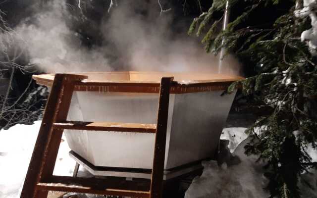 Частный дом Ирбис 3