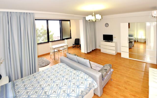 Vinogradnaya 22 G Apartments