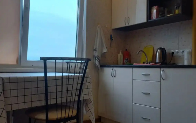 Studiya V Tsentre Flat