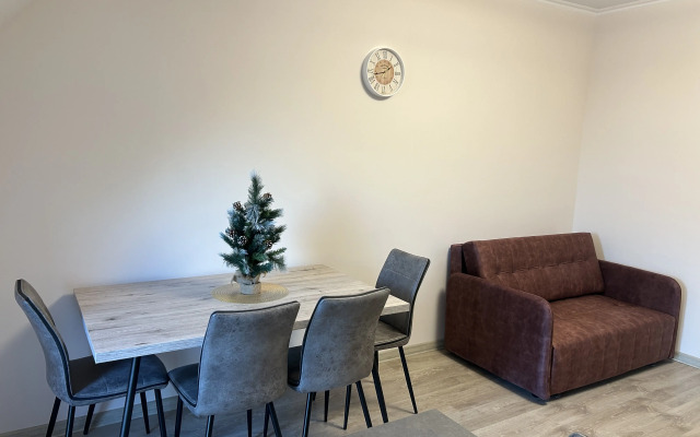 Dvukhyarusnaya kvartira Turgeneva 9A Flat