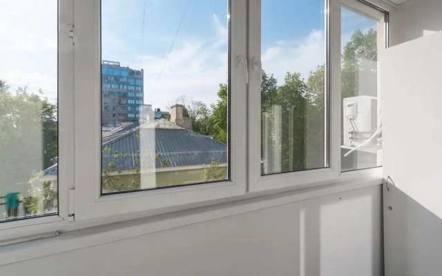 V Tsentre Goroda Flat
