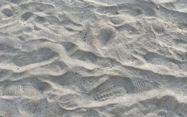 Частный дом Дача На Берегу Моря