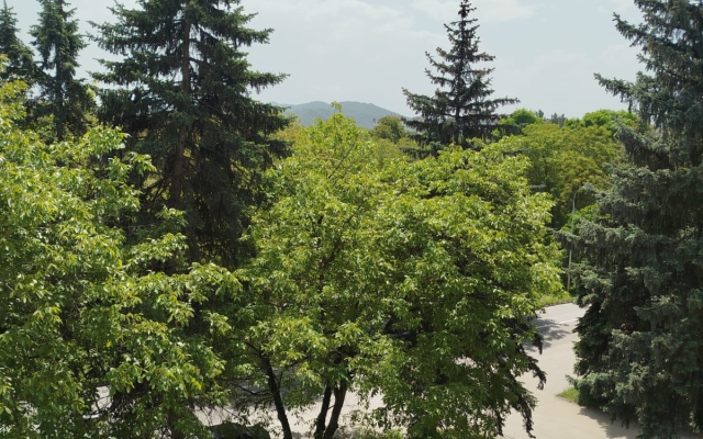 Квартира Шортанова 17