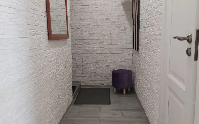 Uyutnaya V Tsentre S Kaminom Flat
