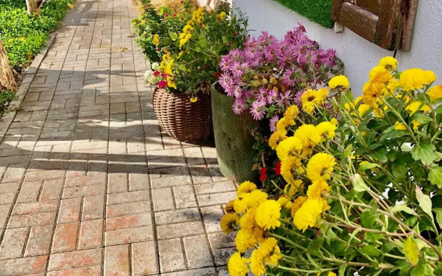 Rostov Kazachiy Guest house