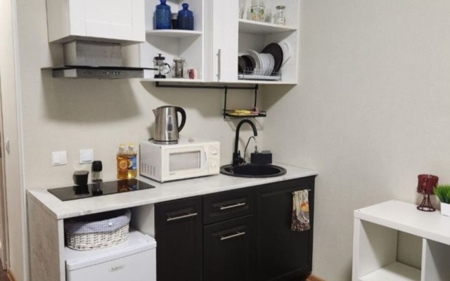 Studiya na Plesetskoy Flat