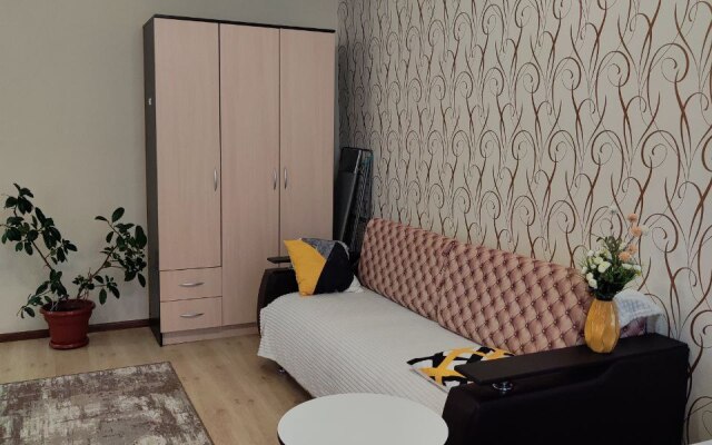 Апартаменты 1-комнатные в Центре Города на Ленина