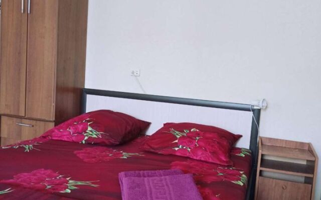 Квартира на Багаева 25/1