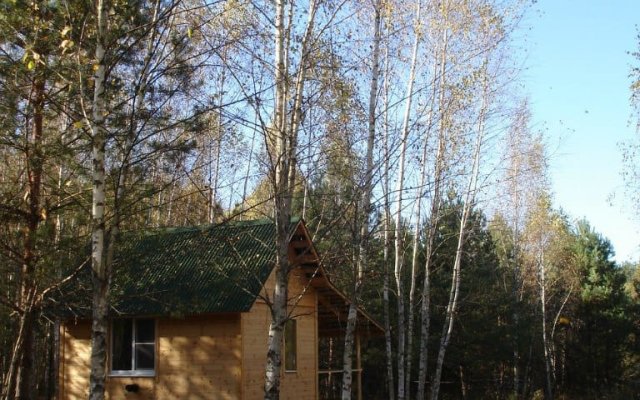 Апартаменты Уютный дом на природе в лесу