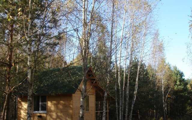 Апартаменты Уютный дом на природе в лесу