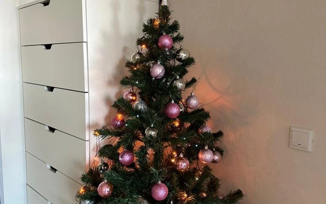 Квартира с Видом на Горы Сириус