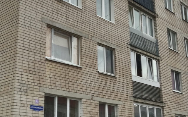 U Fridlandskikh Vorot I Yuzhnogo Parka Flat