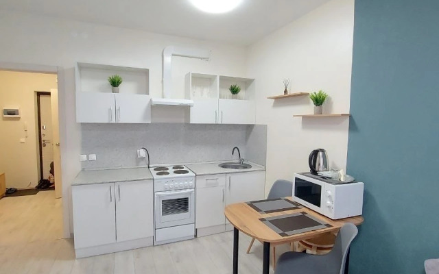 Yevro-Dvukhkomnatnaya Okolo Trk Planety I Sk Sukhareva Flat