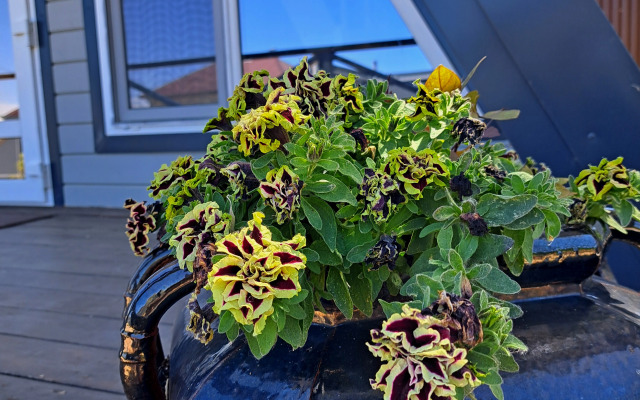 Частный Домик у Реки