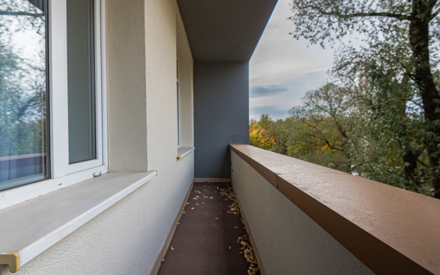 Flat Inn ryadom s aeroportom Sheremet'yevo v mikrorayone Svistukha Apartments