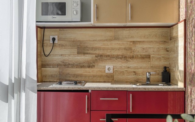 Апартаменты Место под солнцем 1