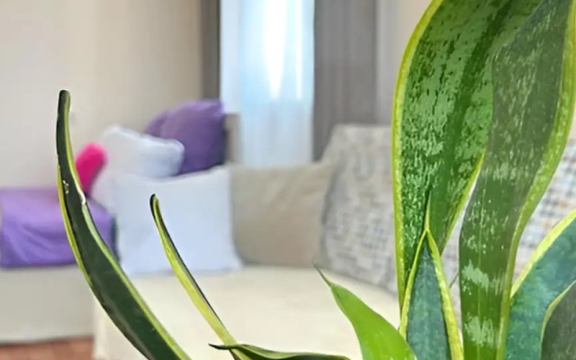 Центр, Большая Двухкомнатная Квартира