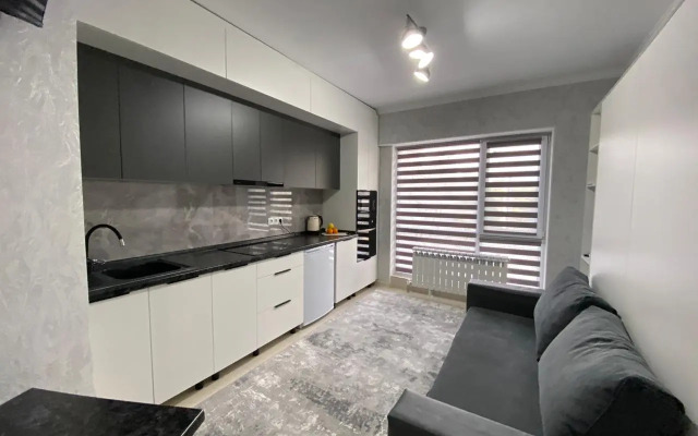 Best House Almaty Flat