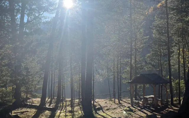 Alatau Guest House