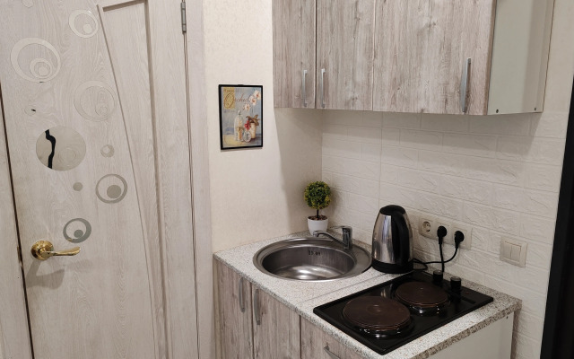 V dvukh minutakh ot Naberezhnoy Apartments