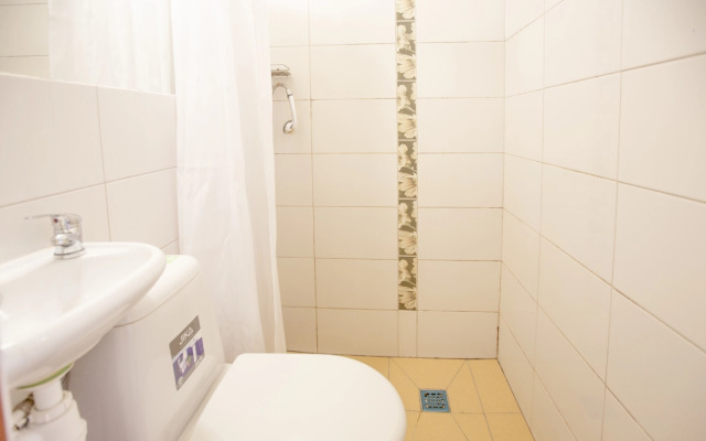 Апартаменты Студия Владимирский