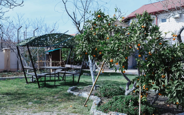 Guest house Villa Verde