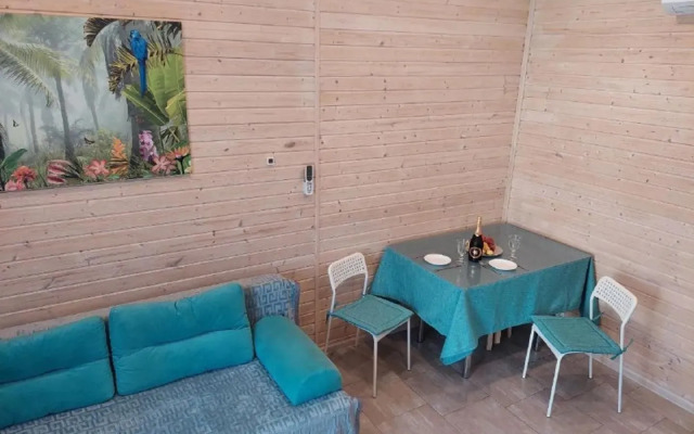 Частный дом в 1-м Академическом переулке 9