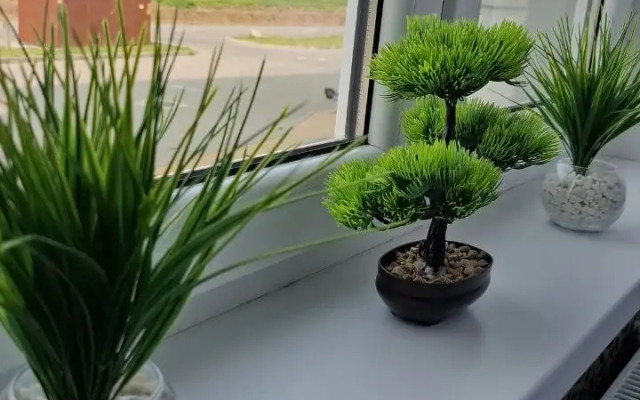 Квартира Отдых в Светлогорске