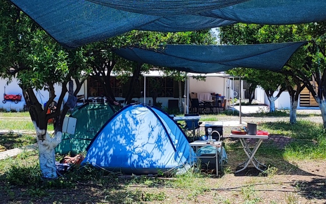 Orange Beach Camp Karavan Club