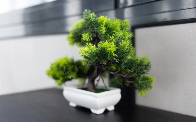 Апартаменты Room-Room Январский