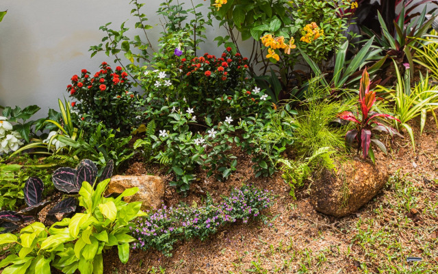 Palmetto Park Condominium