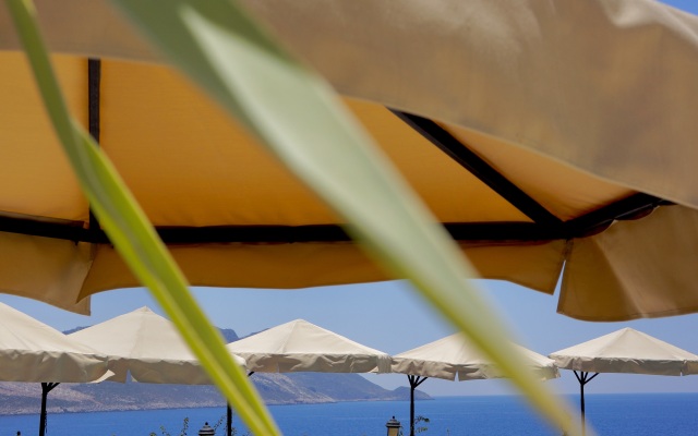Villa Tamara Hotel