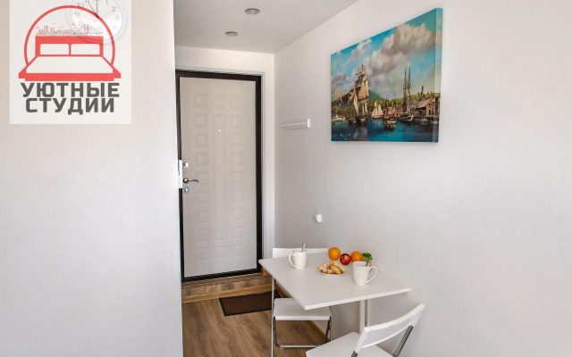 Квартира-студия 1 на Некрасовской