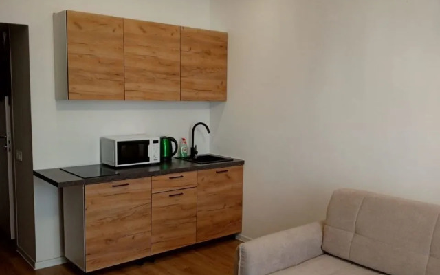 Studiya s sovremennym remontom Flat