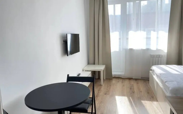 Domant Romanova 60/1 Apartments (8)