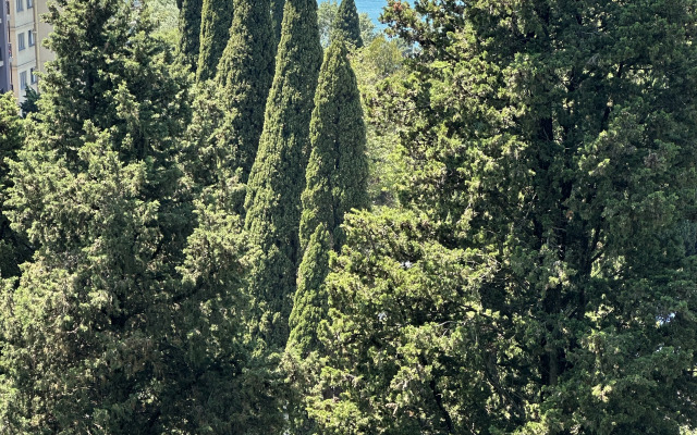 Апартаменты Волна 1