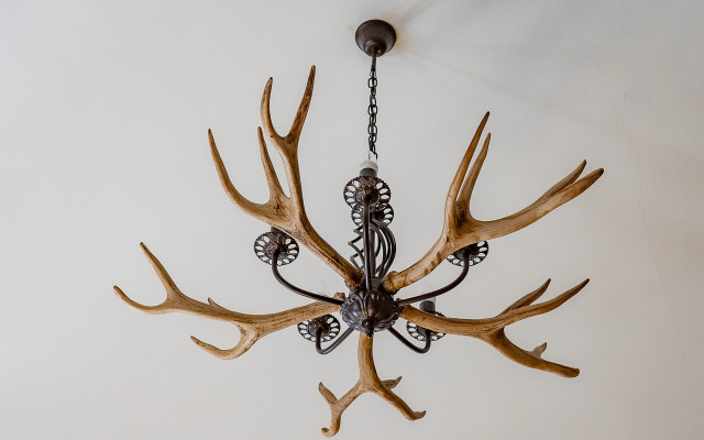 Апартаменты Адмиралтейство