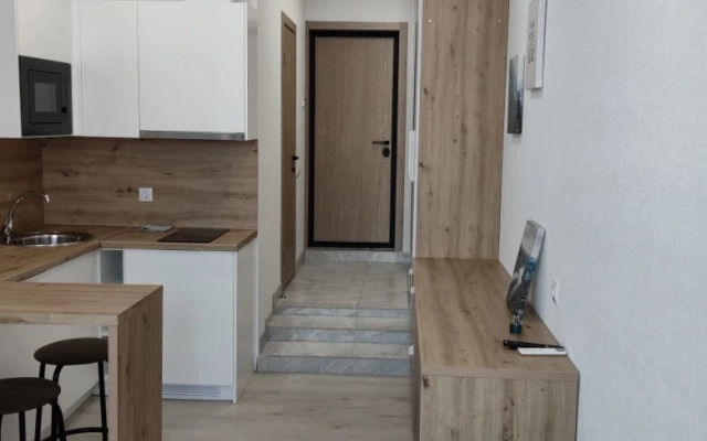 Апартаменты на Набережной Толстого, 41, номер 5