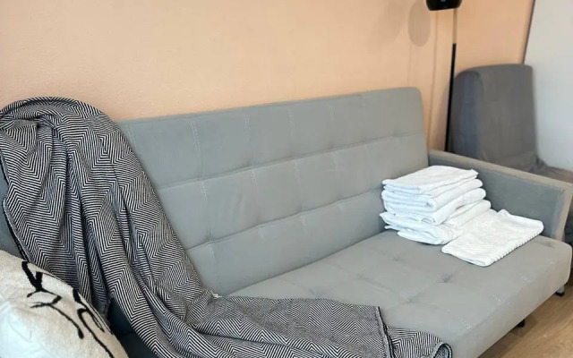 Studiya Okolo Ostrova Mechty I Parka Kolomenskoye Flat