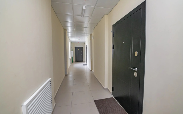 Apartamenty TopHouse na Kaplunova 10 trehkomnatnye