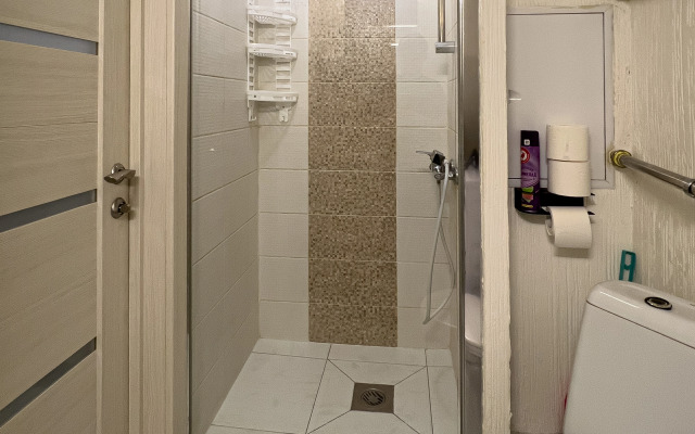 Апартаменты Алтай 1