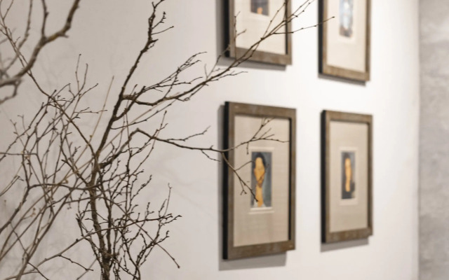 Travertin Siesta Apartments