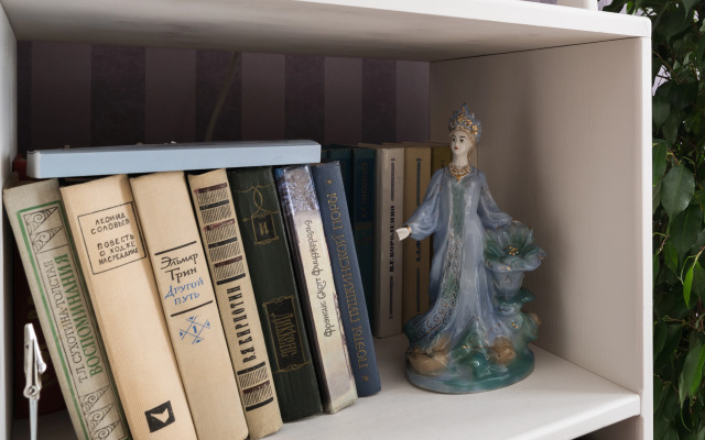 Квартира-студия Свиридов для троих гостей BookingSpb Музыкальная Шкатулка