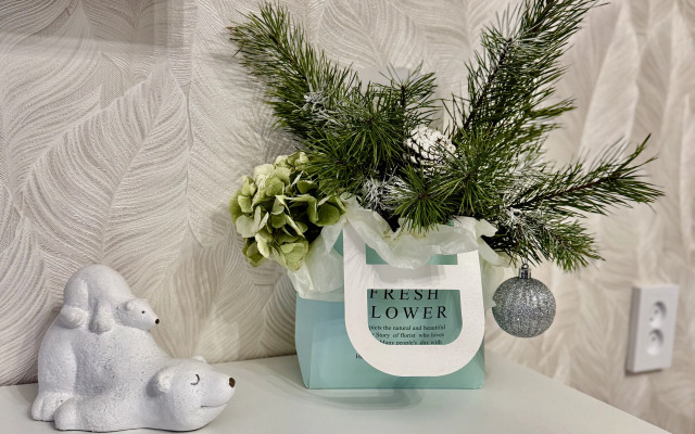 Квартира в центре