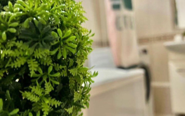 Квартира на Муштари 15