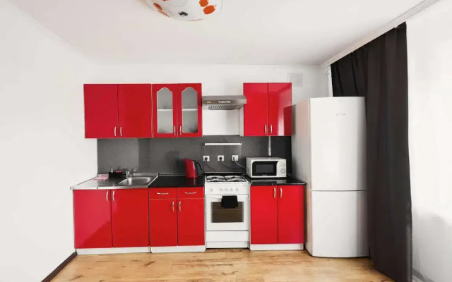 Апартаменты Карельцева 101 (4)