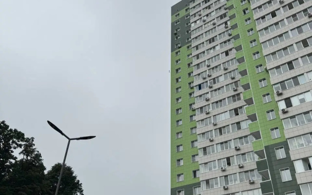 Studiya V Novom Dome Flat
