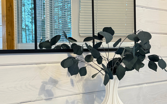 Частный дом Белый и сосны