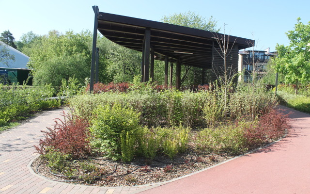 Sport Point