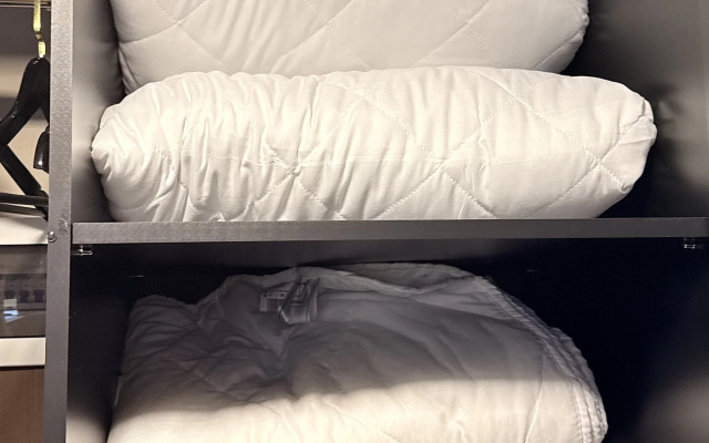 Апартаменты двухуровневые возле Кремля